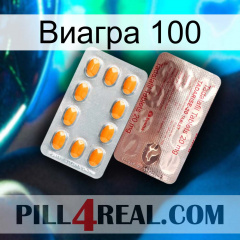 Виагра 100 new13